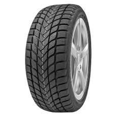 Delinte Winter WD6 195/45R16 84H