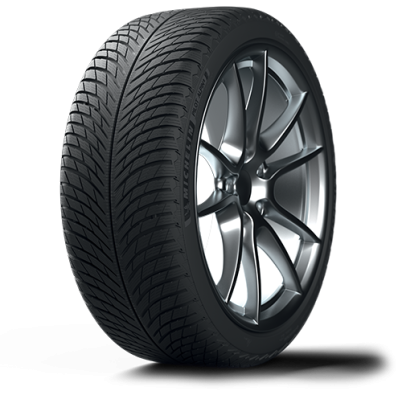 Купить шины Michelin Pilot Alpin 5 SUV 265/50R19 110H
