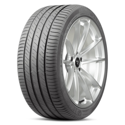 Купить шины Delinte DS-2 SUV 245/65R17 107H