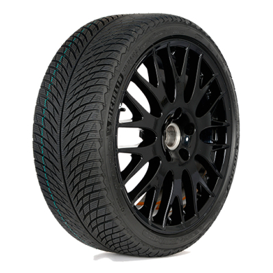 Купить шины Michelin PILOT ALPIN 5 235/35R19 91W