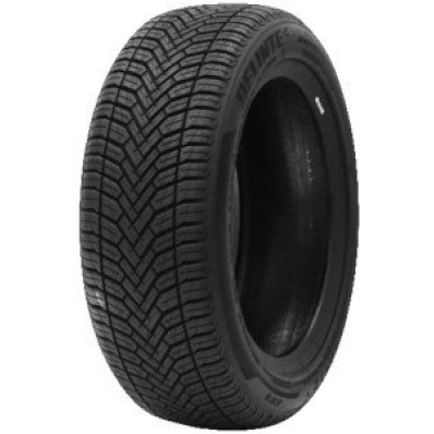 Купить шины Delinte AW6 185/55R16 87V