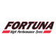 Шины Fortuna в Минске